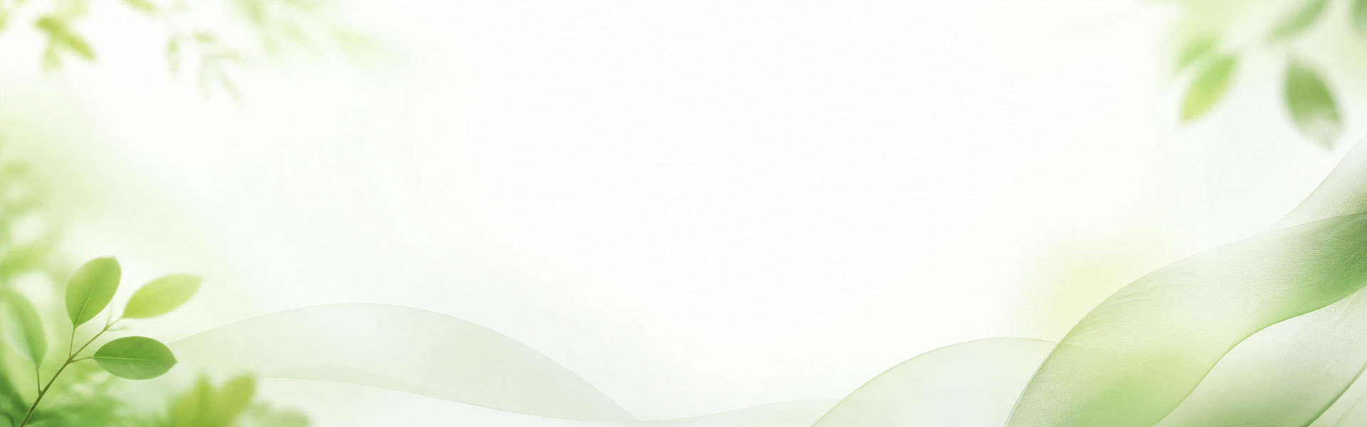 关于 MNA